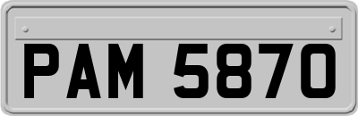 PAM5870
