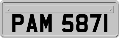 PAM5871