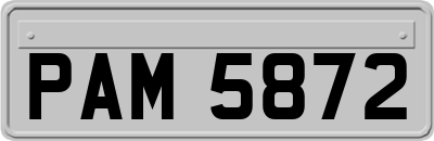 PAM5872