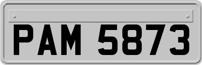 PAM5873