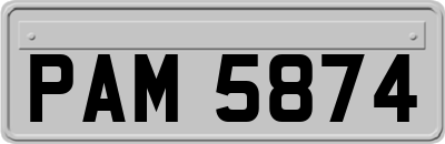 PAM5874