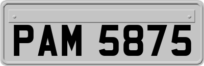 PAM5875
