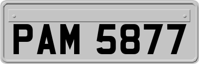 PAM5877
