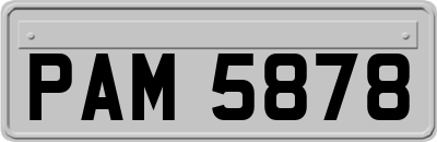 PAM5878