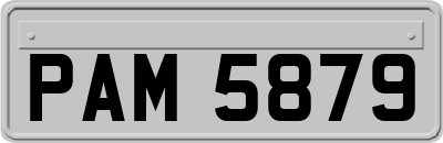 PAM5879