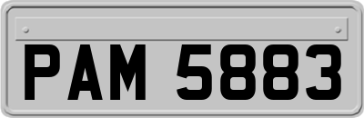 PAM5883