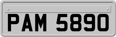 PAM5890