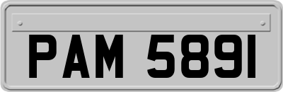 PAM5891