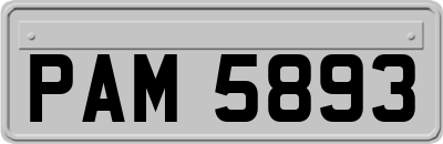 PAM5893