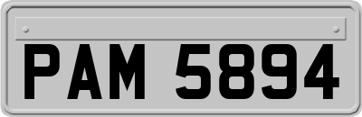 PAM5894