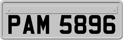 PAM5896