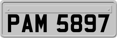 PAM5897