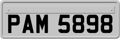 PAM5898