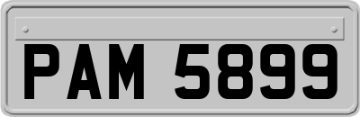 PAM5899
