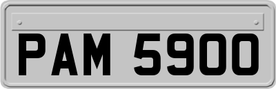 PAM5900
