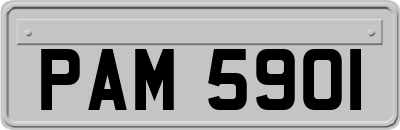 PAM5901