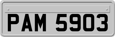 PAM5903