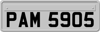 PAM5905