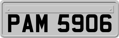 PAM5906