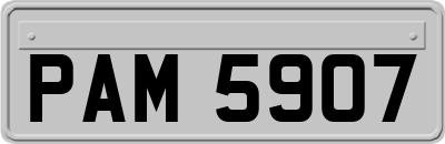 PAM5907