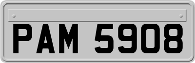 PAM5908
