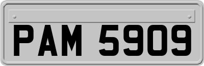 PAM5909