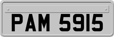 PAM5915