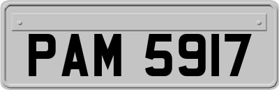 PAM5917