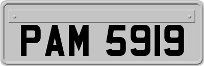 PAM5919