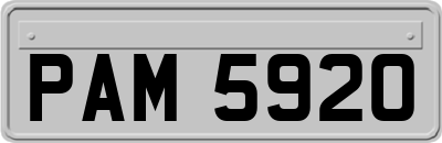 PAM5920