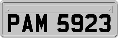 PAM5923