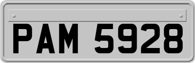 PAM5928