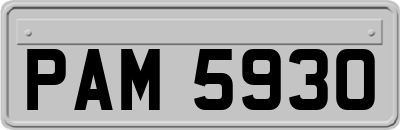 PAM5930
