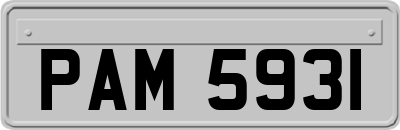 PAM5931