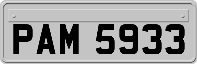 PAM5933
