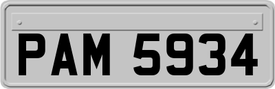 PAM5934