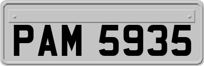 PAM5935