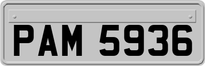 PAM5936