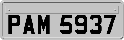 PAM5937