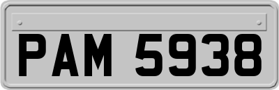 PAM5938
