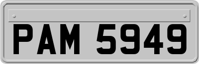 PAM5949