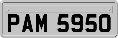 PAM5950
