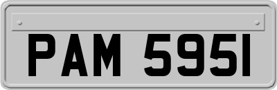 PAM5951