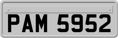 PAM5952