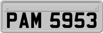 PAM5953