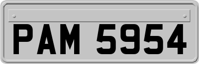 PAM5954