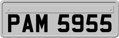 PAM5955