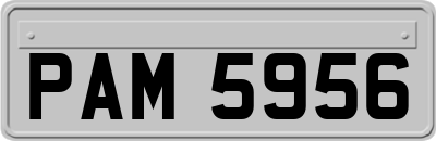 PAM5956