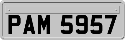 PAM5957
