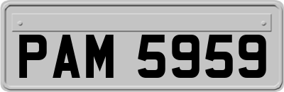 PAM5959